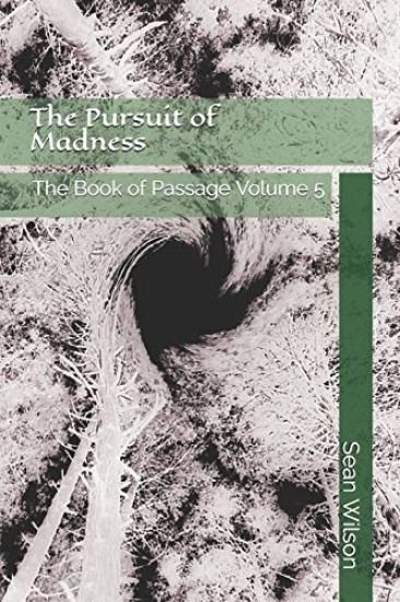 The Pursuit of Madness: The Book of Passage Volume 5