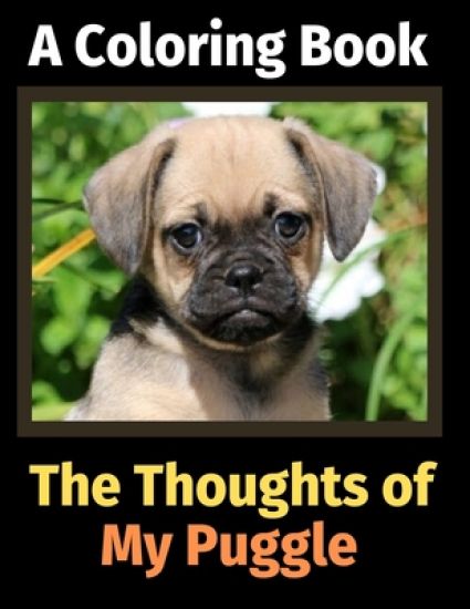 The Thoughts of My Puggle