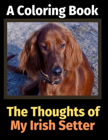The Thoughts of My Irish Setter