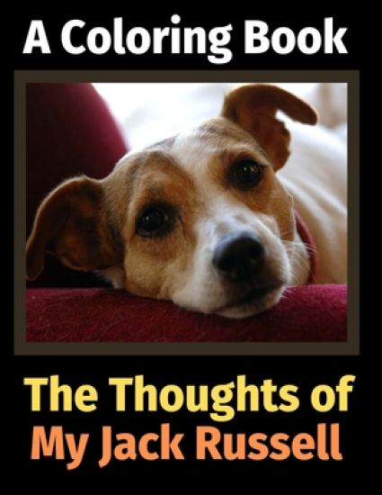 The Thoughts of My Jack Russell
