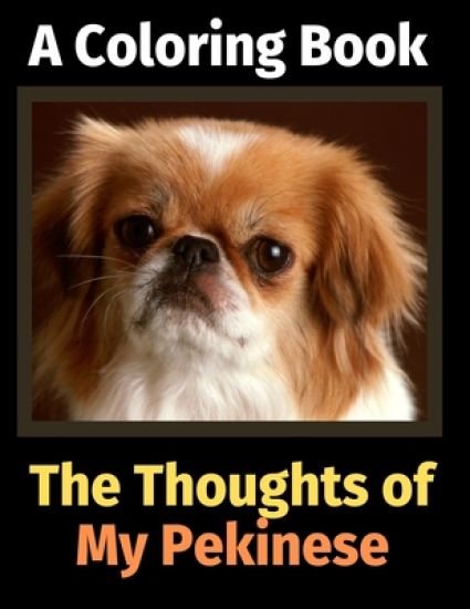 The Thoughts of My Pekinese