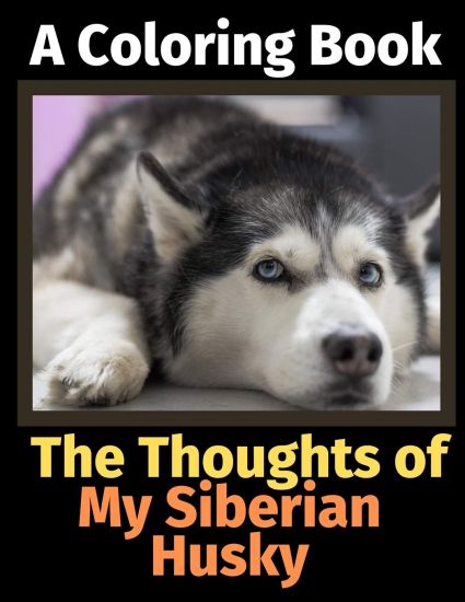 The Thoughts of My Siberian Husky