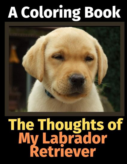The Thoughts of My Labrador Retriever