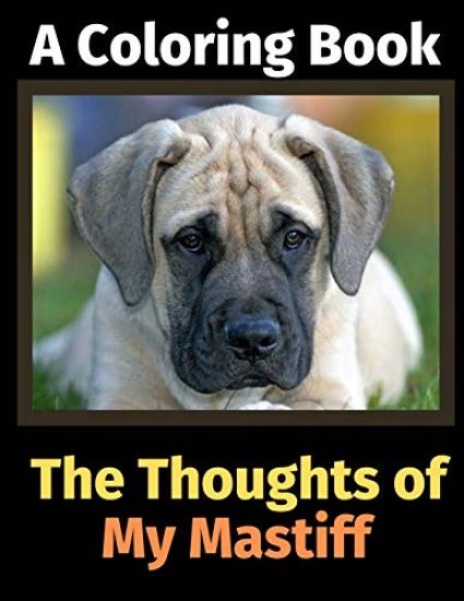 The Thoughts of My Mastiff