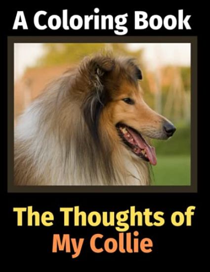 The Thoughts of My Collie
