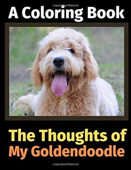 The Thoughts of My Goldendoodle
