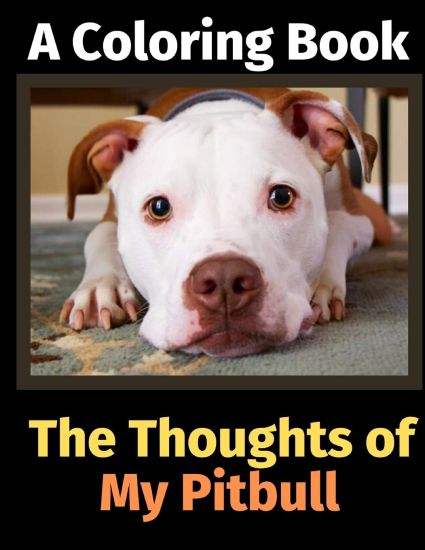 The Thoughts of My Pitbull