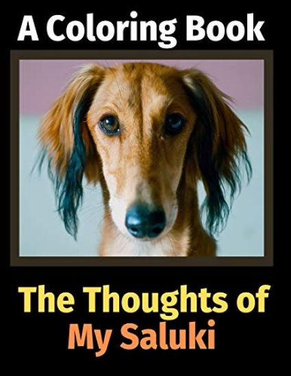 The Thoughts of My Saluki