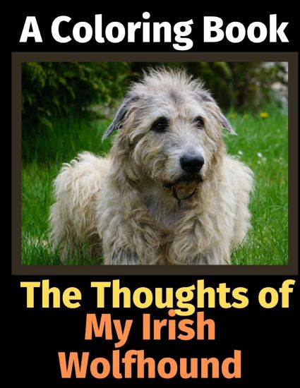 The Thoughts of My Irish Wolfhound