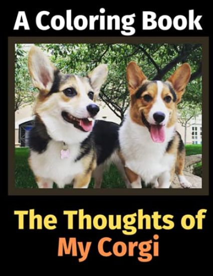 The Thoughts of My Corgi