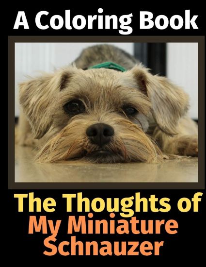 The Thoughts of My Miniature Schnauzer
