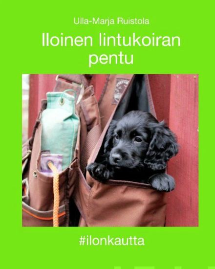 Iloinen lintukoiran pentu