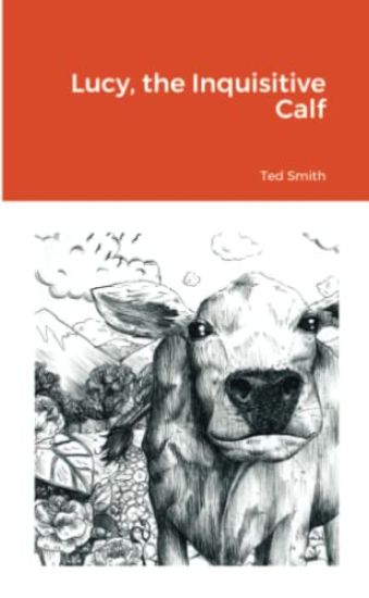 Lucy, the Inquisitive Calf