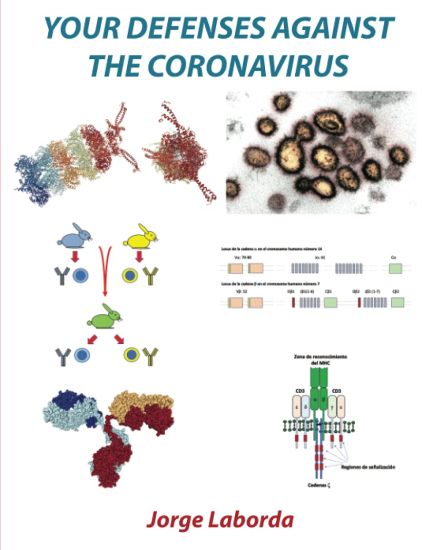 Your defenses against the coronavirus
