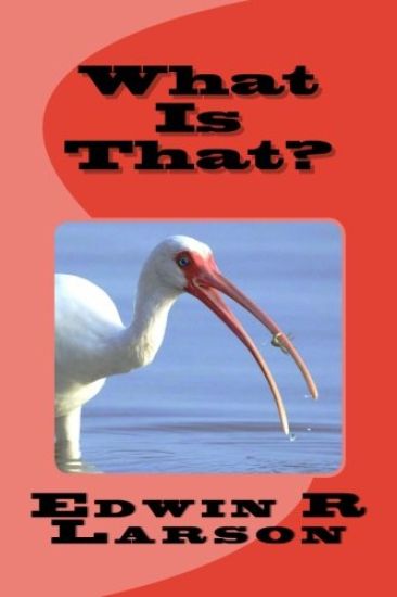 What Is That?: The Ninth Convolution