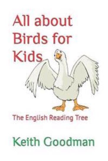All about Birds for Kids