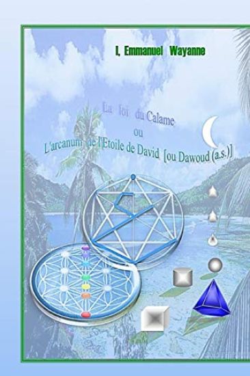 La Loi Du Calame: Loi géométrique sur les chiffres et lettres arabes