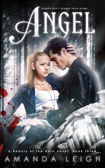 Angel: A Beauty of the Dark Novel, Book Three