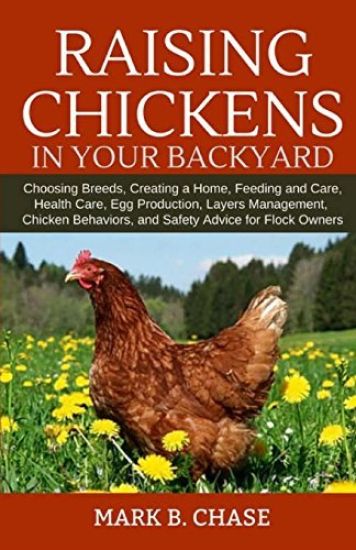 Raising Chickens in Your Backyard