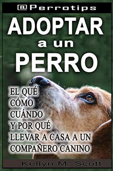 @perrotips: Adoptar Un Perro: El Qu