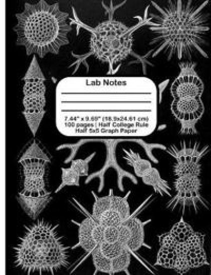 Lab Notes