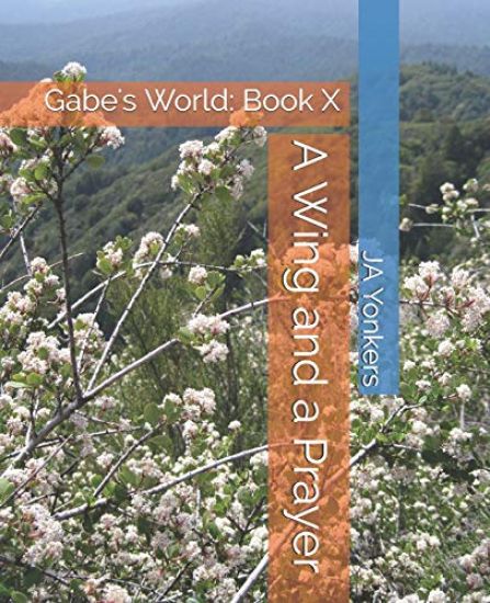 A Wing and a Prayer: Gabe's World: Book X