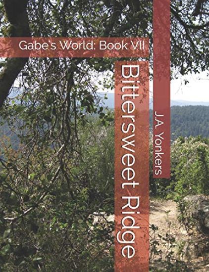 Bittersweet Ridge: Gabe's World: Book VII