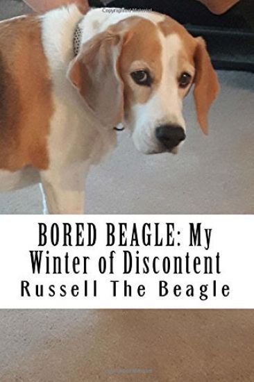 Bored Beagle: My Winter of Discontent