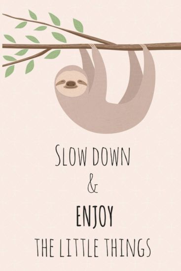 Slow Down & Enjoy The Little Things