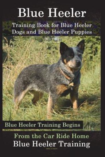 Blue Heeler Training Book for Blue Heeler Dogs and Blue Heeler Puppies by D!g This Dog Training: Blue Heeler Training Begins from the Car Ride Home Bl