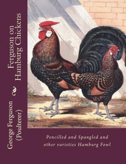Ferguson on Hamburg Chickens: Pencilled and Spangled and other varieties Hamburg Fowl