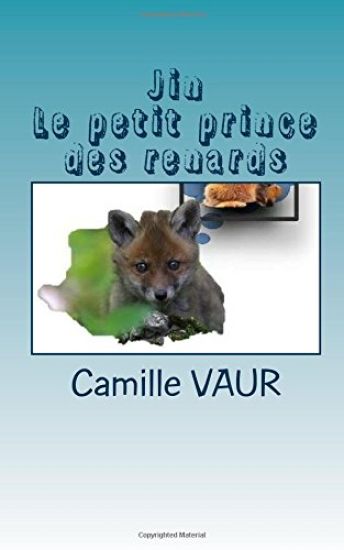 Jin, le petit prince des renards