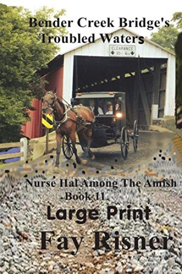 Bender Creek Bridge's Troubled Waters: Nurse Hal Among The Amish