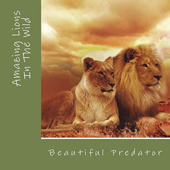 Amazing Lions In The Wild: Beautiful Preditors