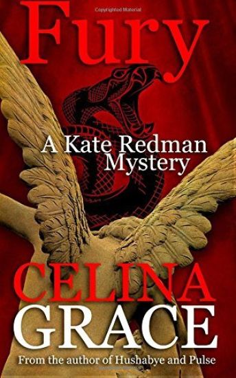 Fury: (A Kate Redman Mystery: Book 11)