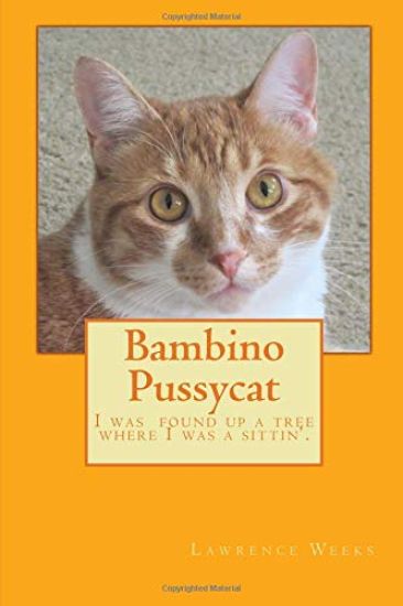Bambino Pussycat