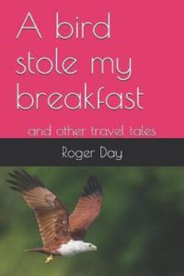 A bird stole my breakfast