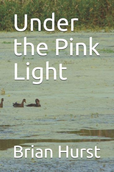 Under the Pink Light