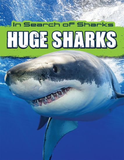 Huge Sharks