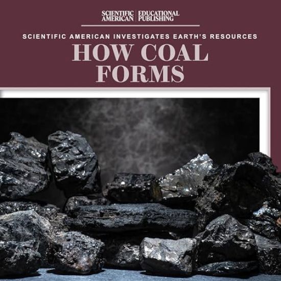 How Coal Forms