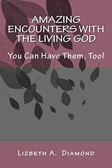 Amazing Encounters with the Living God: You Can Have Them, Too!