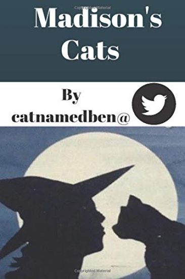 Madison's Cats