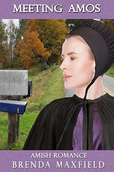 Amish Romance: Meeting Amos