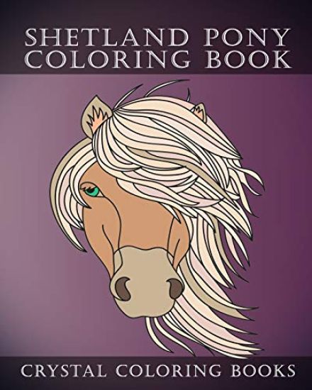 Shetland Pony Coloring Book: Simple Hand Drawn Line Drawings. Each Page Has a Different Design.