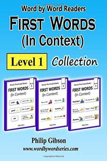 FIRST WORDS in Context: Level 1: Learn the important words first.