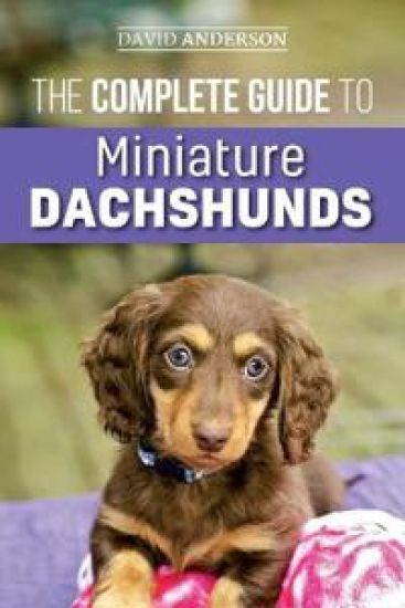 The Complete Guide to Miniature Dachshunds