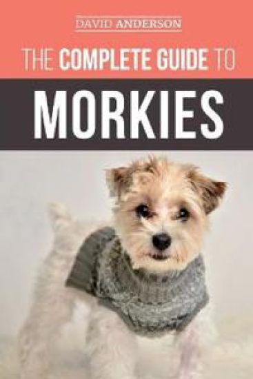 The Complete Guide to Morkies