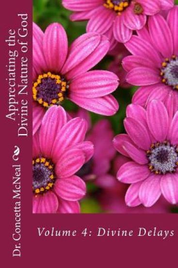 Appreciating the Divine Nature of God: Volume 4 Divine Delays: Volume 4: Divine Delays