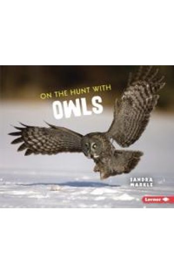 On the Hunt with Owls