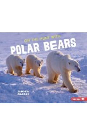 On the Hunt with Polar Bears